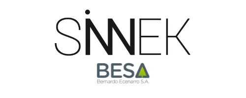 Sinnek